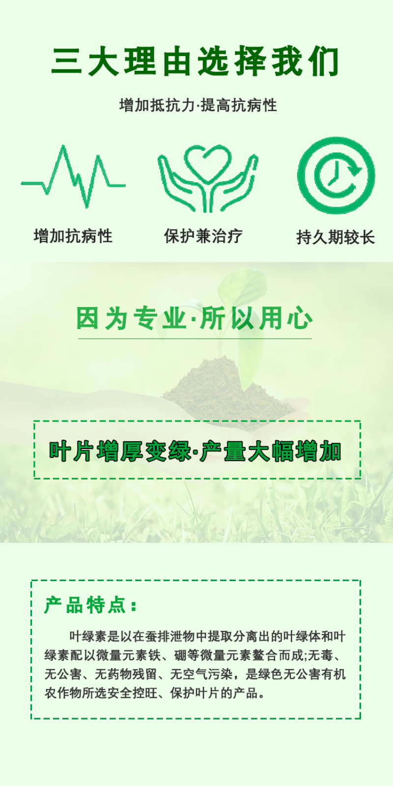 叶绿素安全控旺作物徒长叶片增绿变厚增花保花