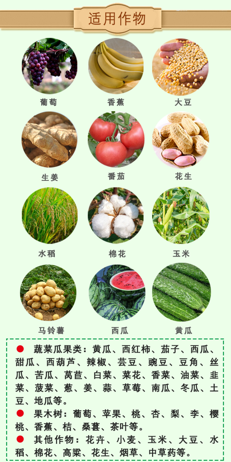 叶绿素安全控旺作物徒长叶片增绿变厚增花保花