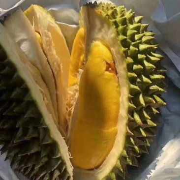 泰国金枕