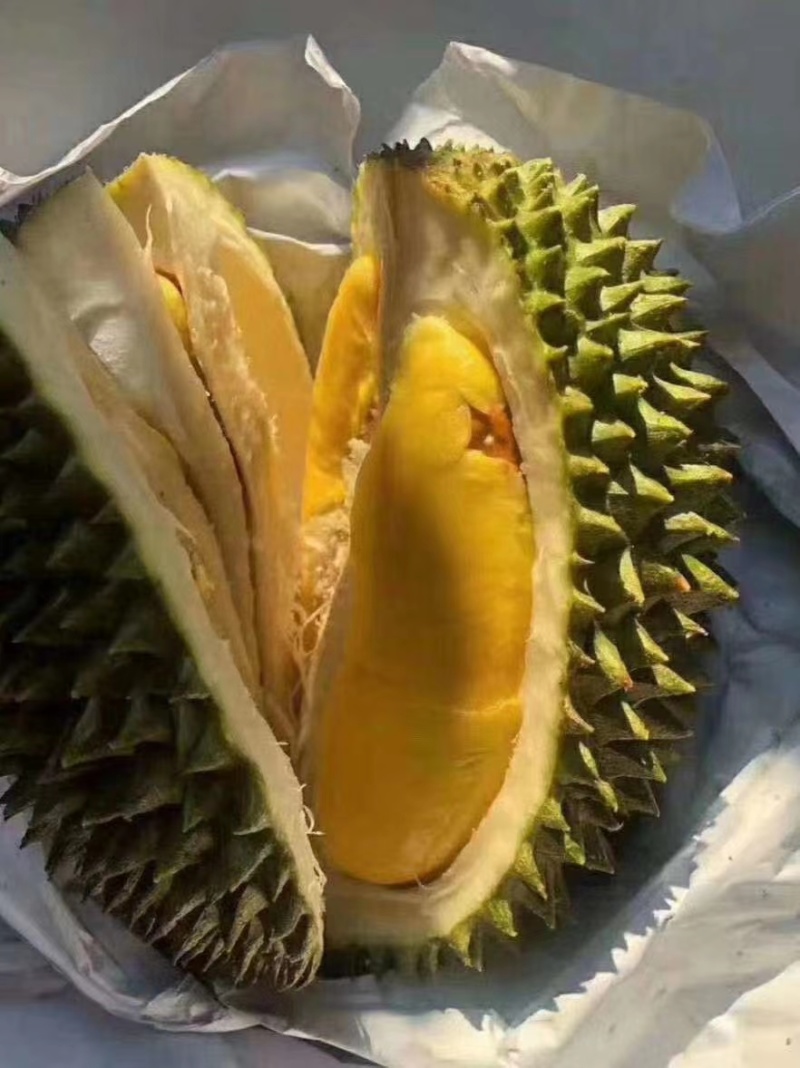 泰国金枕