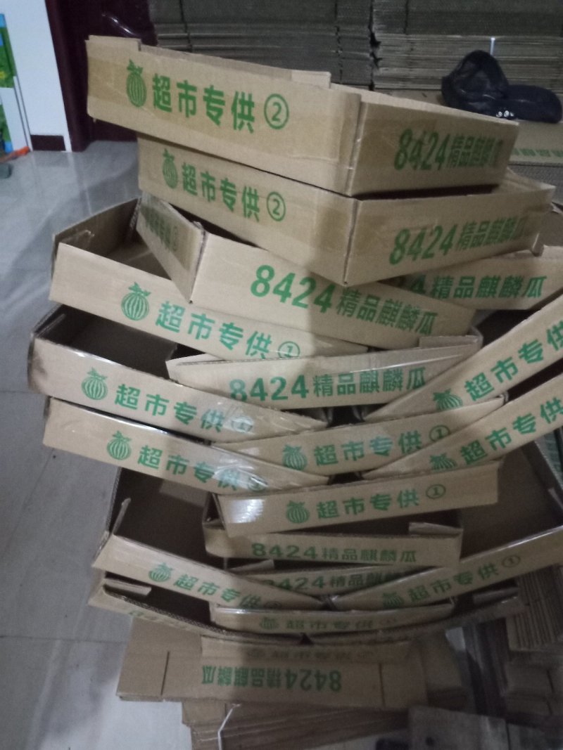 河南周口太康西瓜8424精品美都一手货源。