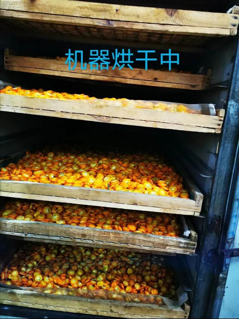 桂林特产干货产地直发金桔片金桔干冷库存货供应