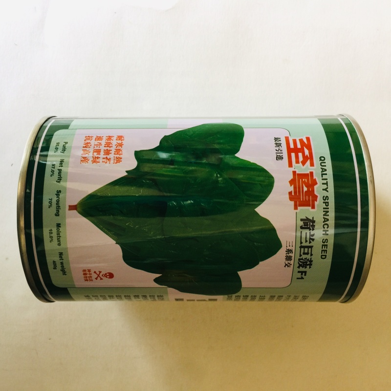 批发零售菠菜种子大田用种产量高，量大优惠