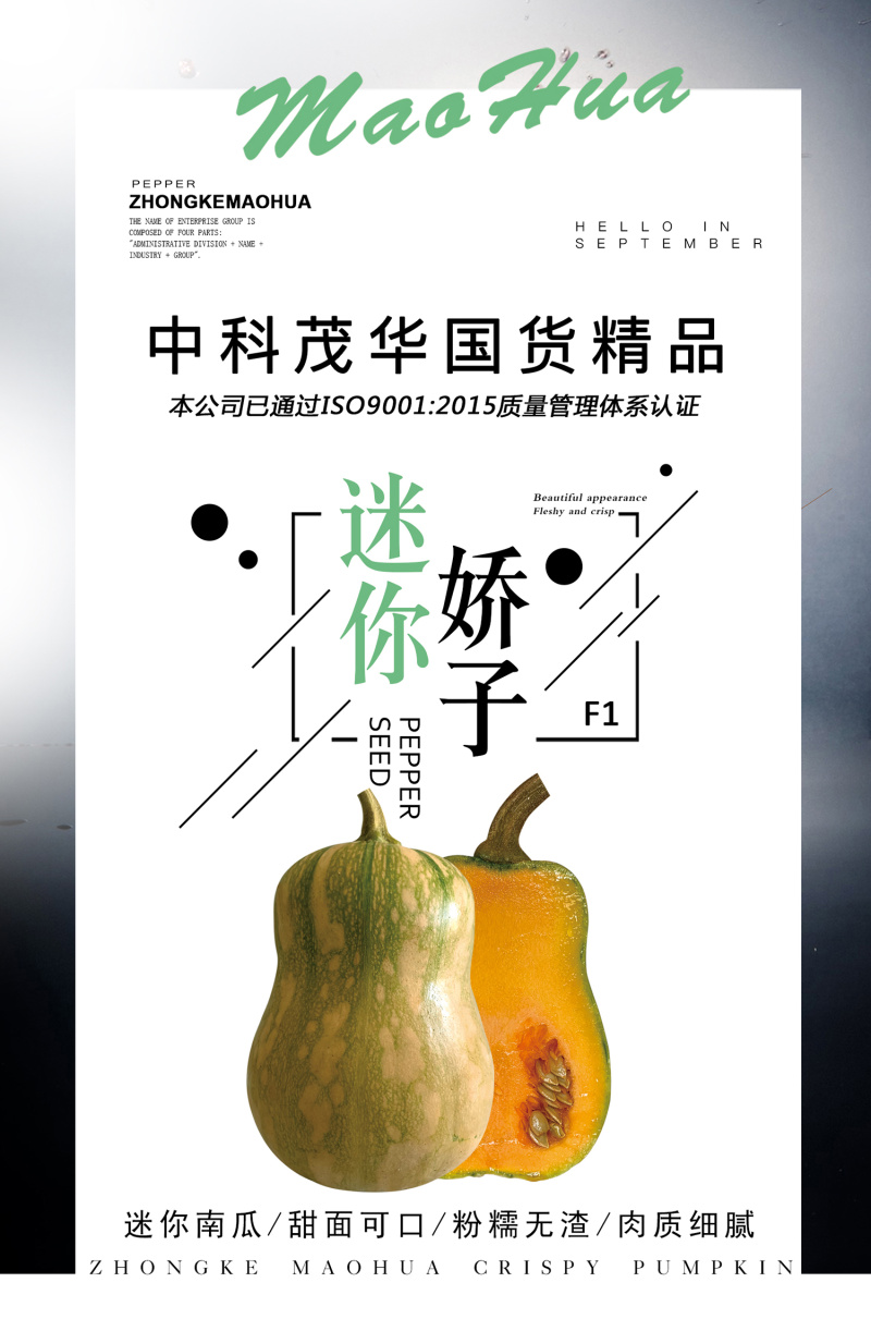中科茂华南瓜种子迷你娇子新品南瓜种子小型礼品