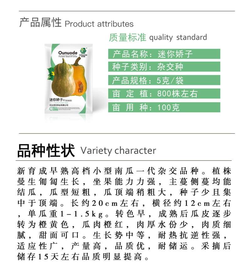 中科茂华南瓜种子迷你娇子新品南瓜种子小型礼品