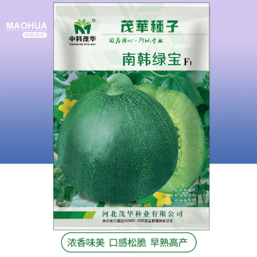 中科茂华瓜果蔬菜种子南韩绿宝绿皮绿肉绿宝石甜瓜种子