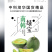 中科茂华瓜果蔬菜种子南韩绿宝绿皮绿肉绿宝石甜瓜种子