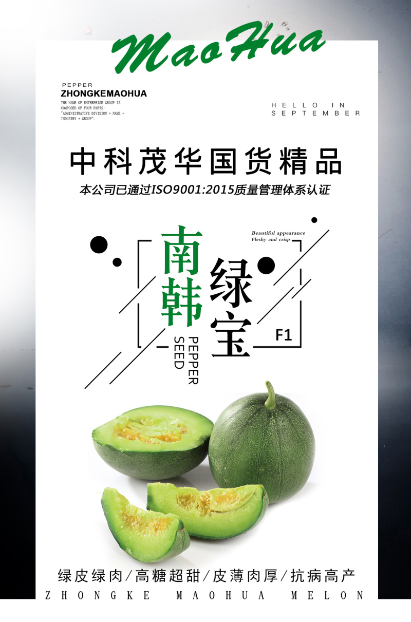 中科茂华瓜果蔬菜种子南韩绿宝绿皮绿肉绿宝石甜瓜种子