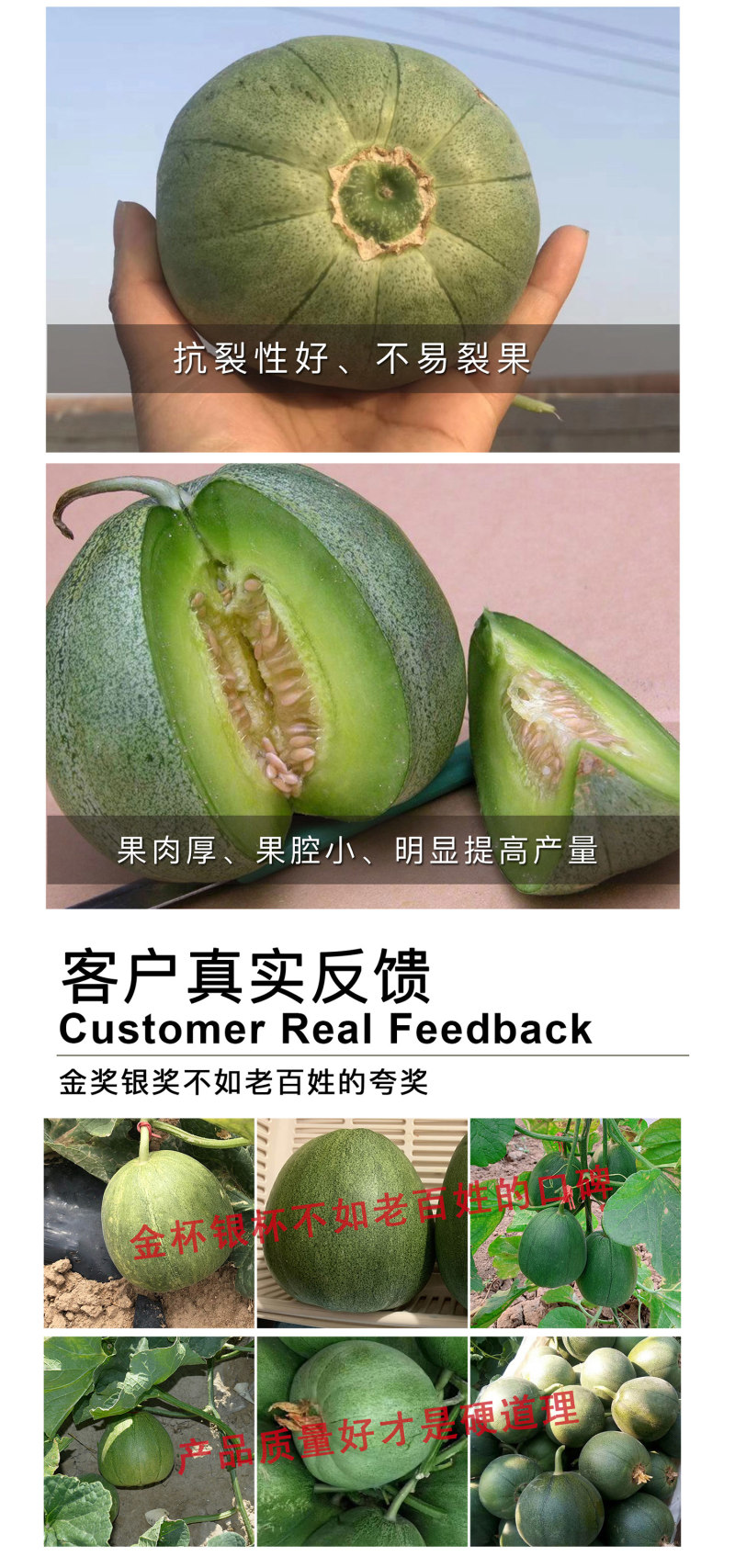 中科茂华瓜果蔬菜种子南韩绿宝绿皮绿肉绿宝石甜瓜种子