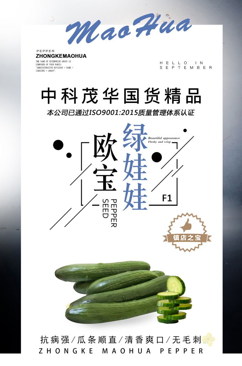中科茂华蔬菜种子欧宝绿娃娃荷兰水果黄瓜种子小黄瓜