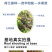 中科茂华蔬菜种子欧宝绿娃娃荷兰水果黄瓜种子小黄瓜