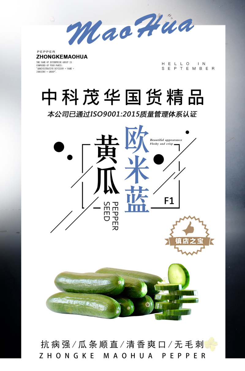 中科茂华蔬菜种子迷你水果黄瓜种子F1全雌系节节有瓜