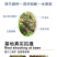 中科茂华蔬菜种子迷你水果黄瓜种子F1全雌系节节有瓜