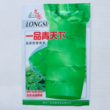 莴苣批发零售多品种窝笋种子，量大优惠，大田用种，现货供应