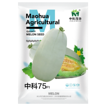 中科茂华瓜果种子中科75-76优质甜瓜种子薄皮肉厚