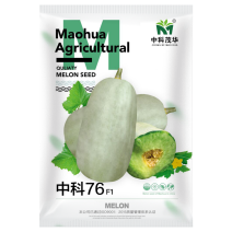 中科茂华瓜果种子中科75-76优质甜瓜种子薄皮肉厚