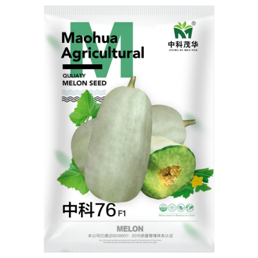 中科茂华瓜果种子中科75-76优质甜瓜种子薄皮肉厚