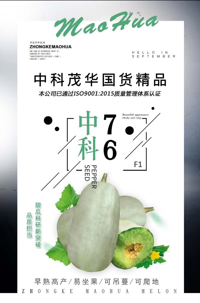 中科茂华瓜果种子中科75-76优质甜瓜种子薄皮肉厚