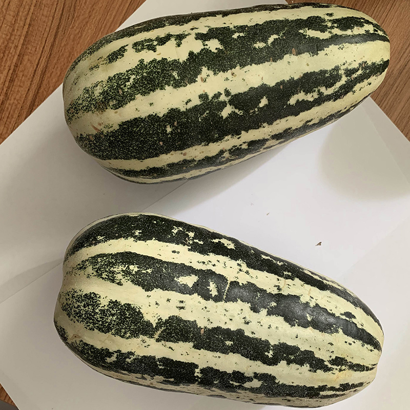 中科茂华瓜果种子中科90-99甜瓜种子花皮绿肉橘瓤薄皮