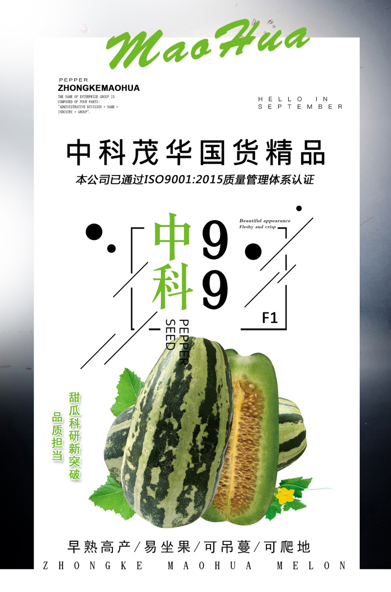 中科茂华瓜果种子中科90-99甜瓜种子花皮绿肉橘瓤薄皮
