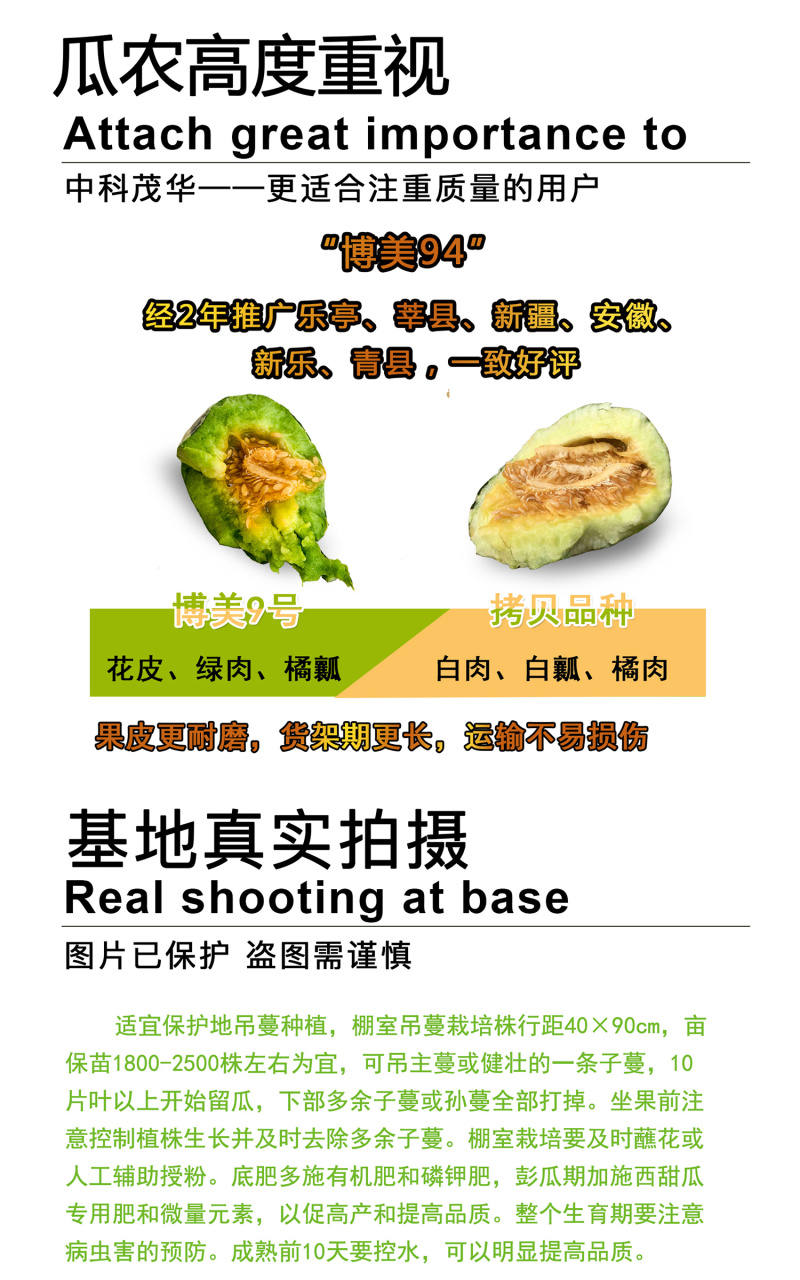中科茂华瓜果种子中科90-99甜瓜种子花皮绿肉橘瓤薄皮