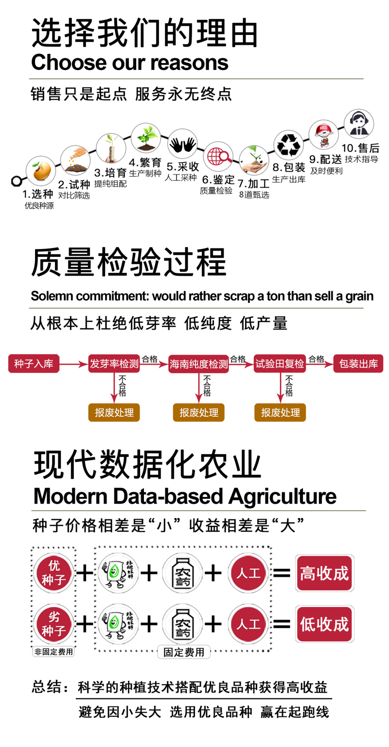 中科茂华蔬菜种子中科黑龙茄子种子绿萼黑长茄种籽黑又亮白绿