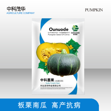 中科茂华中科墨栗南瓜种子高圆扁圆绿栗新西兰类型南瓜新