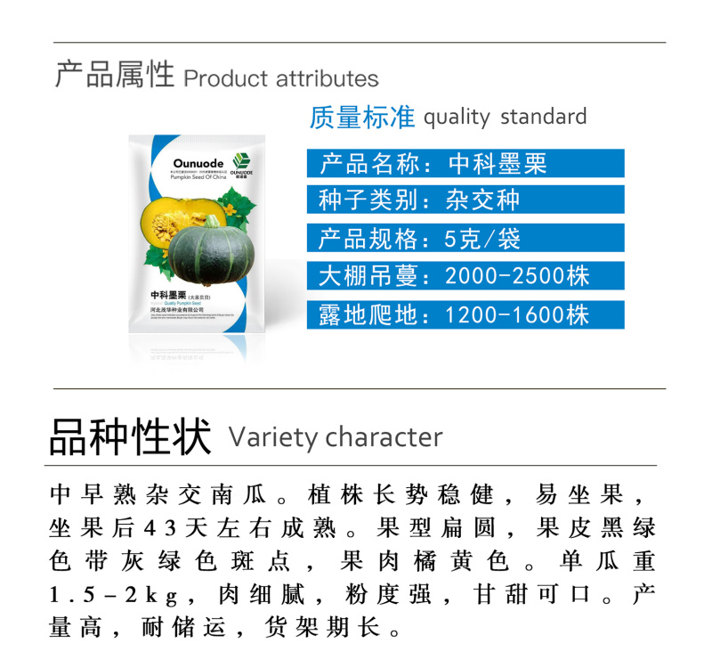 中科茂华中科墨栗南瓜种子高圆扁圆绿栗新西兰类型南瓜新