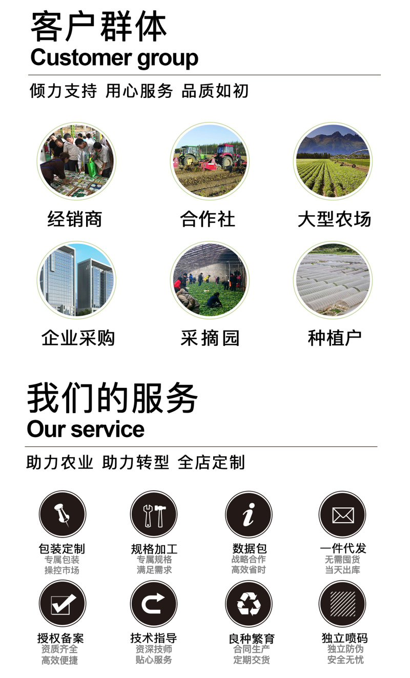 中科茂华中科墨栗南瓜种子高圆扁圆绿栗新西兰类型南瓜新