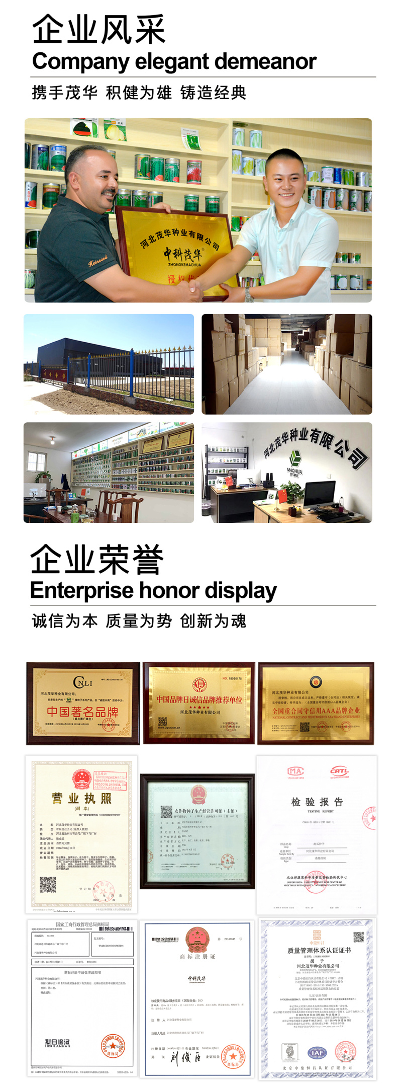 中科茂华中科墨栗南瓜种子高圆扁圆绿栗新西兰类型南瓜新