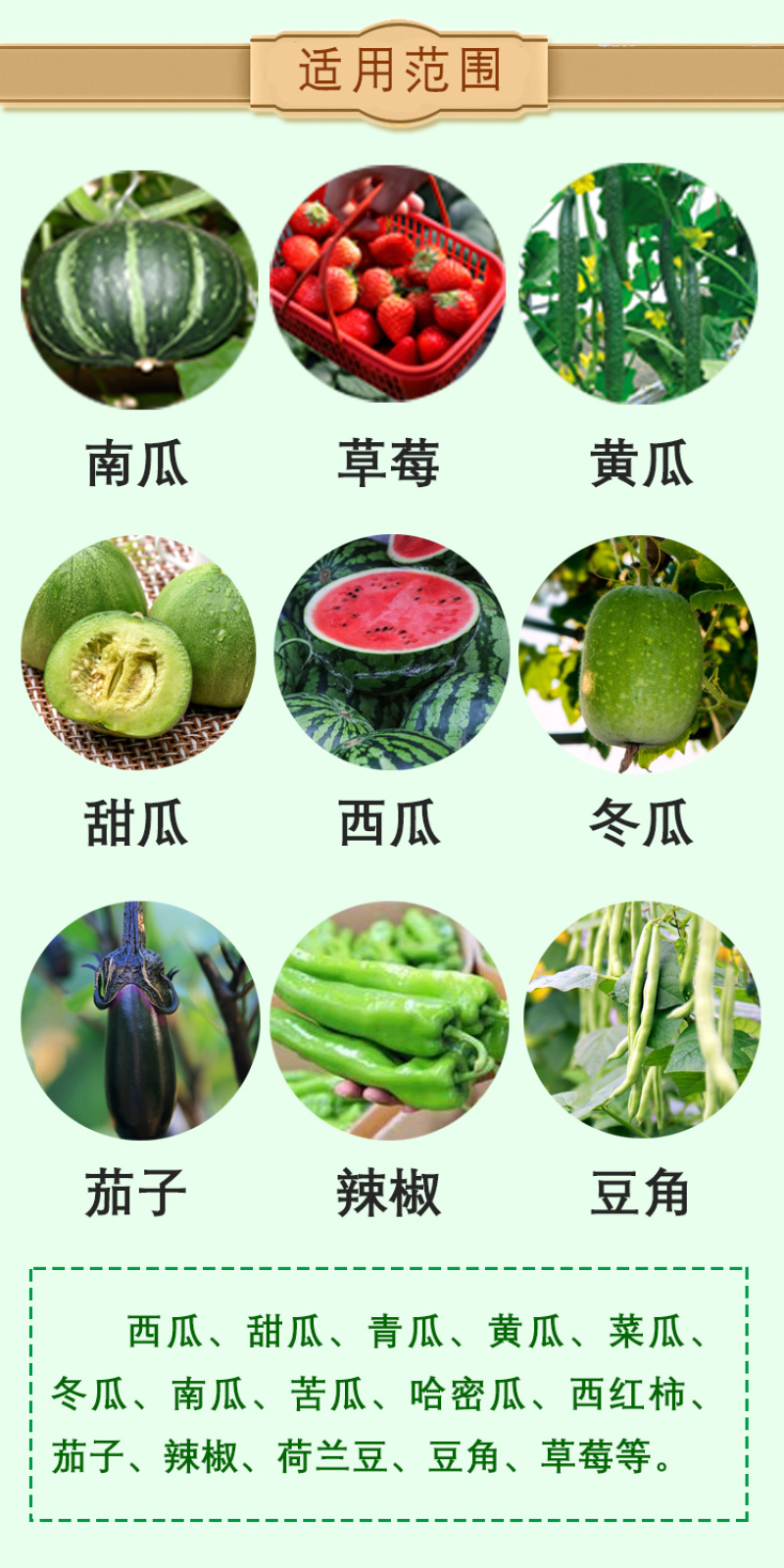 天达2116瓜茄果专用叶面肥保花保果提质增产解药害