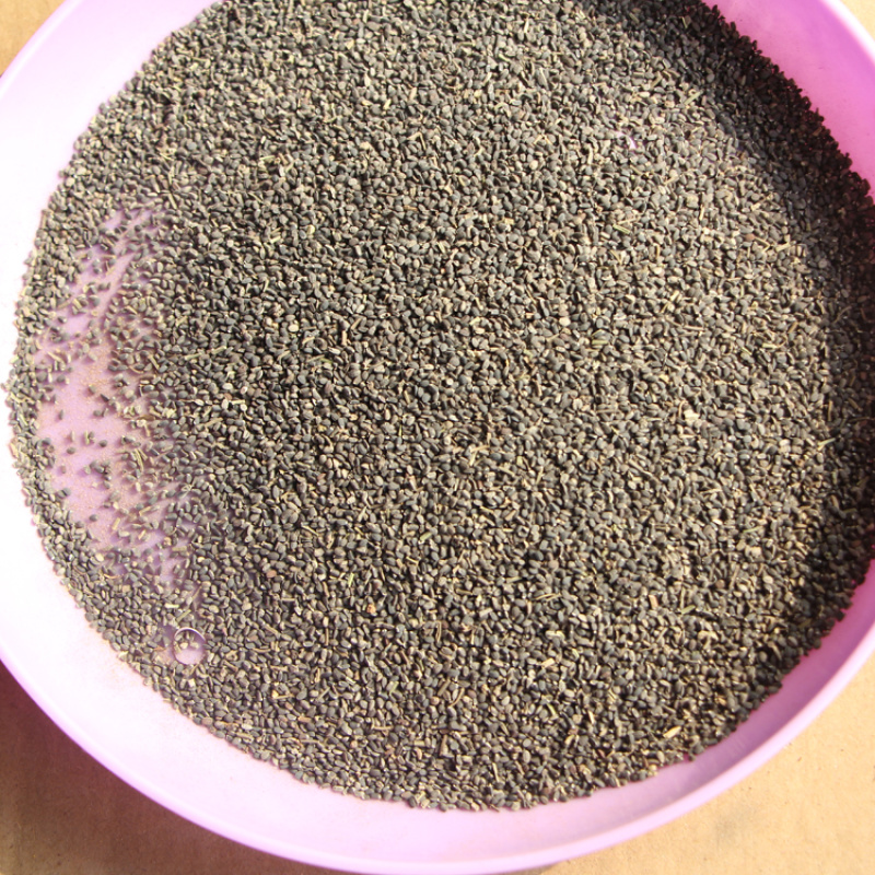 薄荷种子猫薄荷四季室内花开花易爆盆提神植物可食用香草盆栽