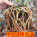 浓香型兰花墨兰企黑盆栽兰花苗花草绿植室内好养植物花卉