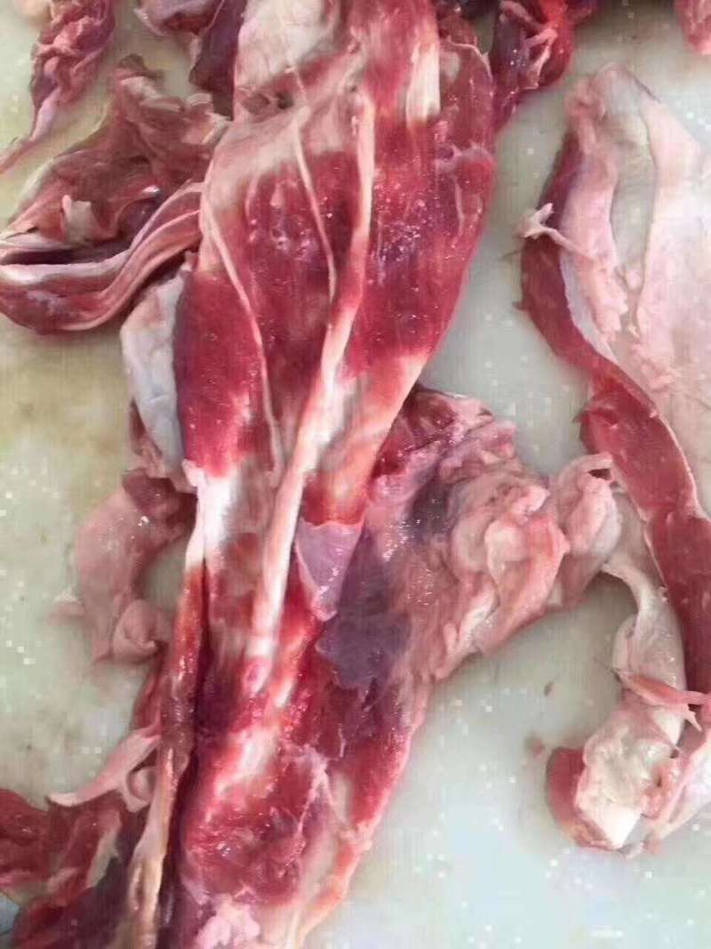【牛肉筋】品质好，劲道，货量充足厂家直销，证件齐全，