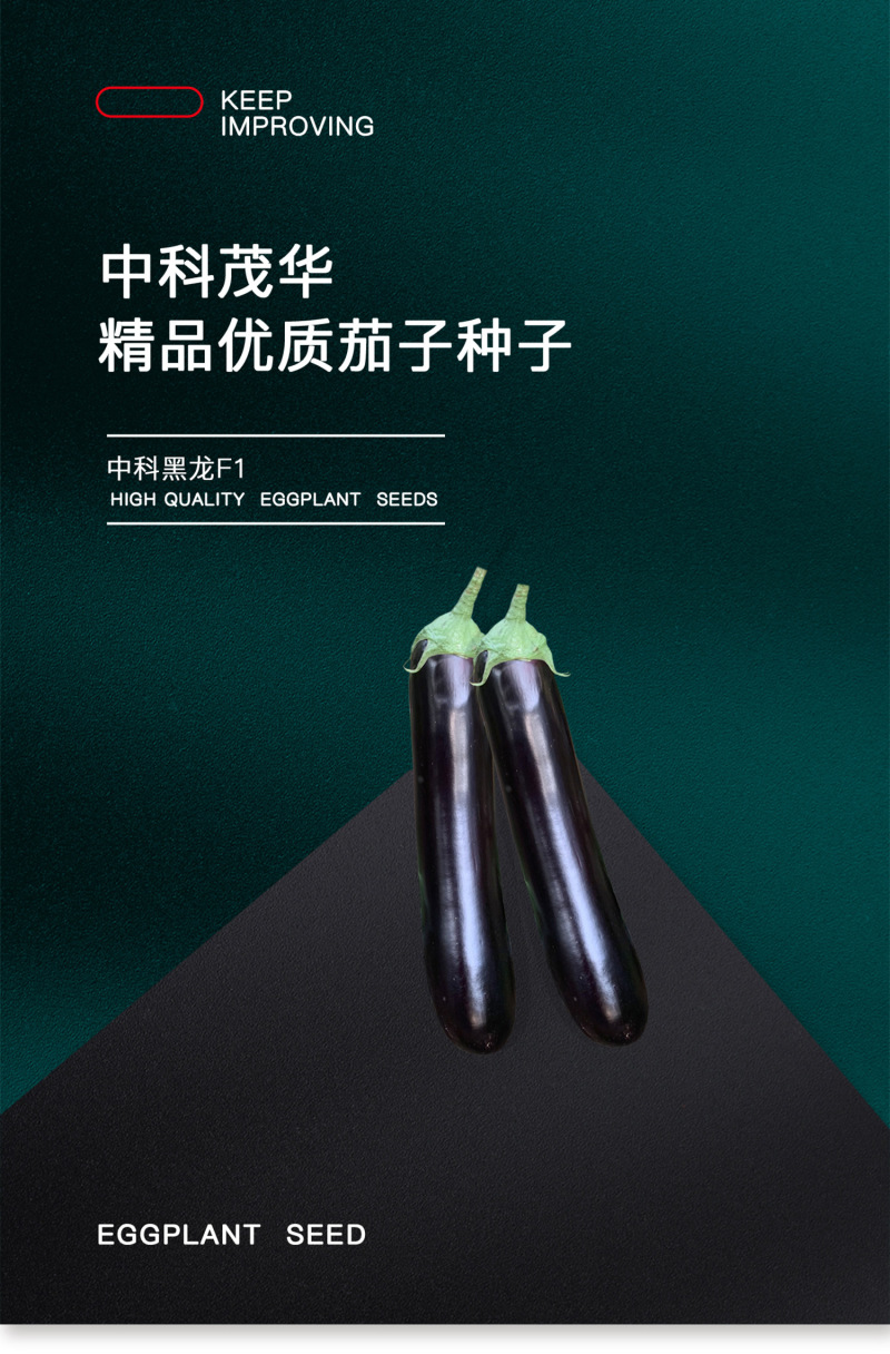 中科茂华蔬菜种子中科黑龙茄子种子绿萼黑长茄黑又亮白绿