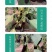 中科茂华蔬菜种子中科黑龙茄子种子绿萼黑长茄黑又亮白绿