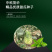 中科茂华瓜果种子一品花宝甜瓜种子花皮绿肉绿瓤早熟性
