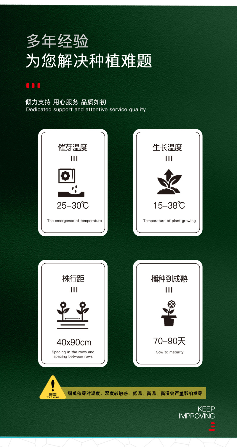 中科茂华瓜果种子一品花宝甜瓜种子花皮绿肉绿瓤早熟性