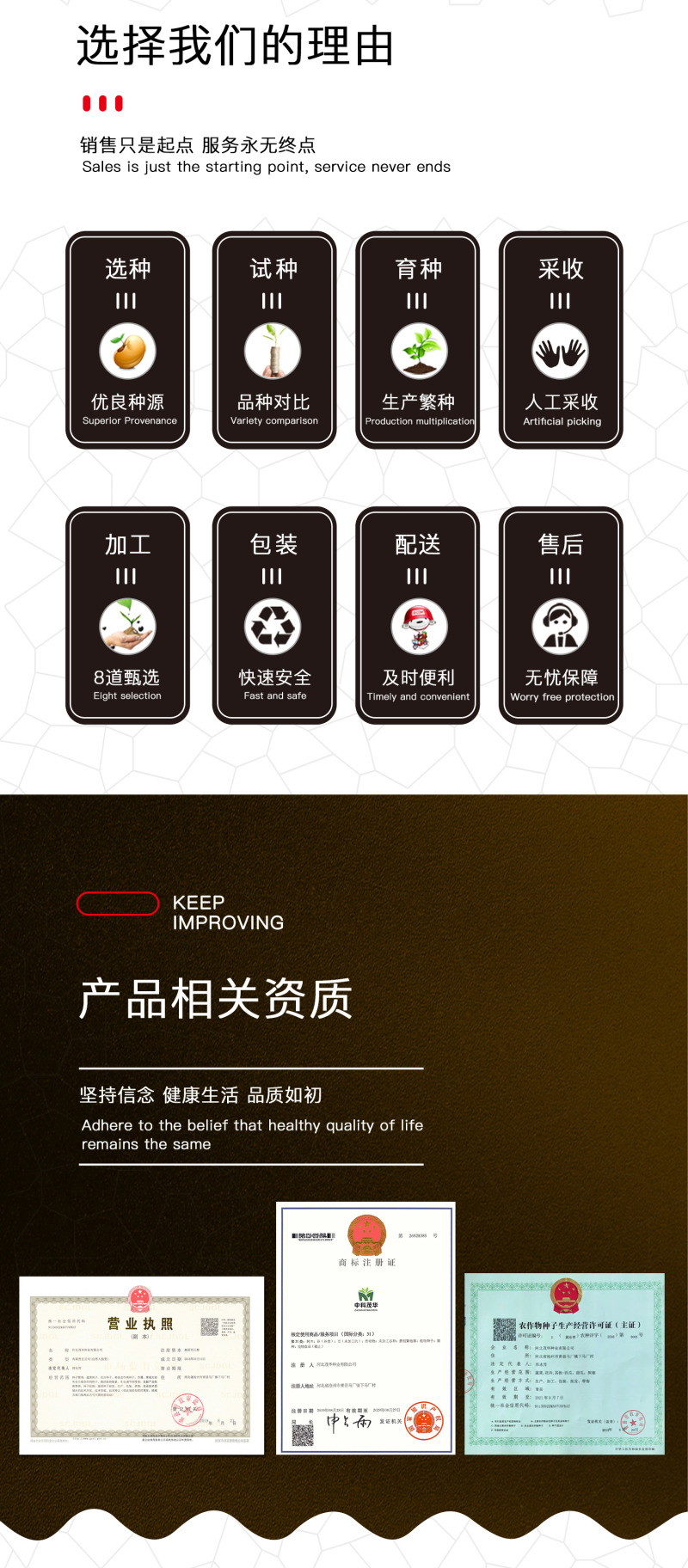 中科茂华瓜果种子一品花宝甜瓜种子花皮绿肉绿瓤早熟性