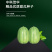 中科茂华瓜果种子茂华芝麻脆甜瓜种子绿皮红肉少籽