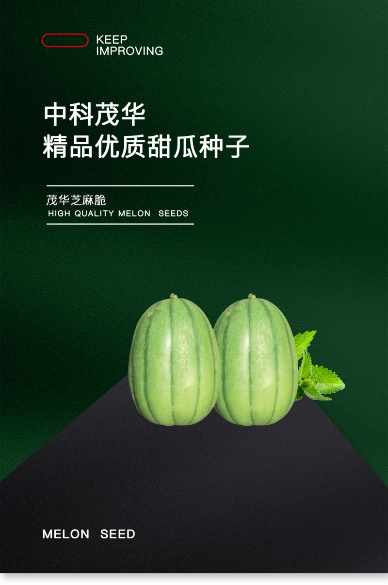 中科茂华瓜果种子茂华芝麻脆甜瓜种子绿皮红肉少籽