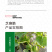 中科茂华瓜果种子茂华芝麻脆甜瓜种子绿皮红肉少籽