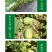 中科茂华瓜果种子茂华芝麻脆甜瓜种子绿皮红肉少籽