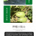 中科茂华瓜果种子茂华芝麻脆甜瓜种子绿皮红肉少籽