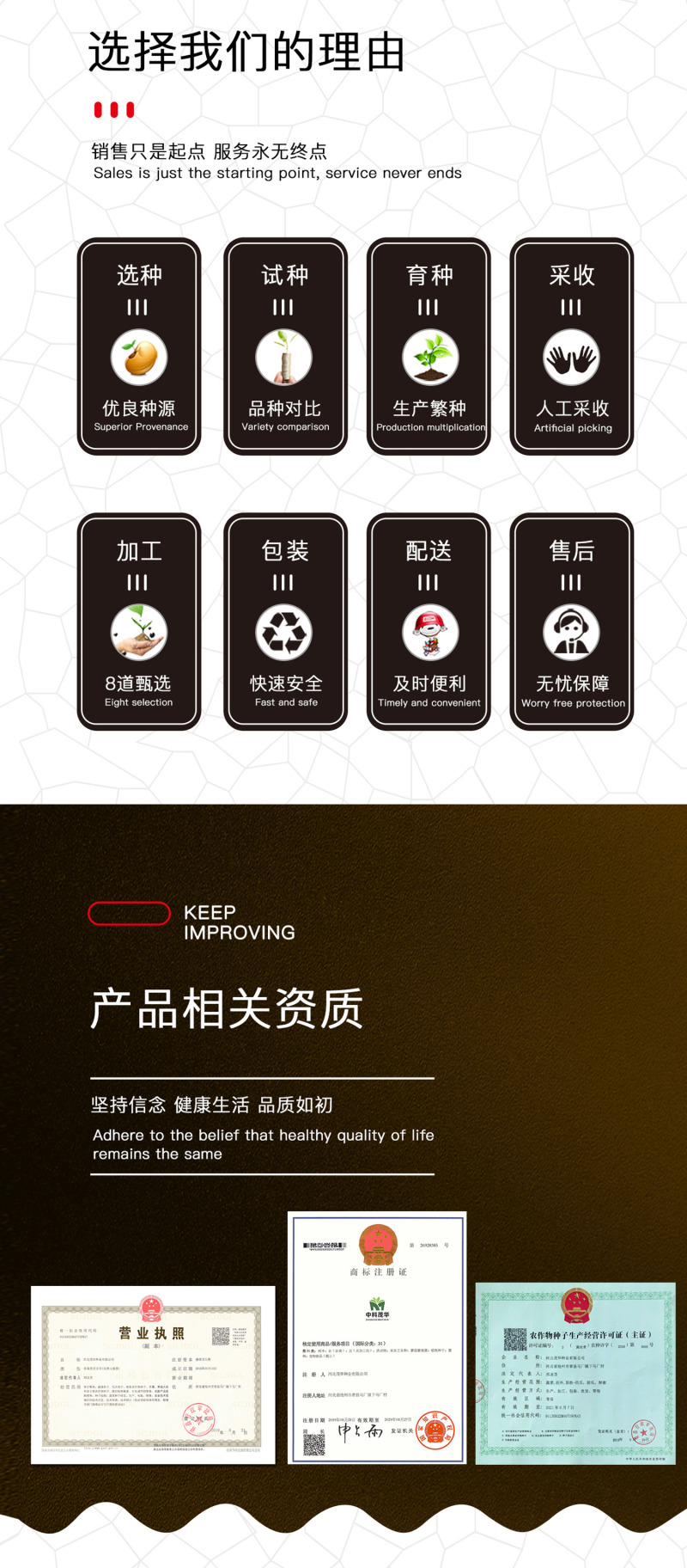 中科茂华瓜果种子茂华芝麻脆甜瓜种子绿皮红肉少籽