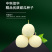 中科茂华瓜果种子杂交一代香满园白皮带黄润甜瓜种子