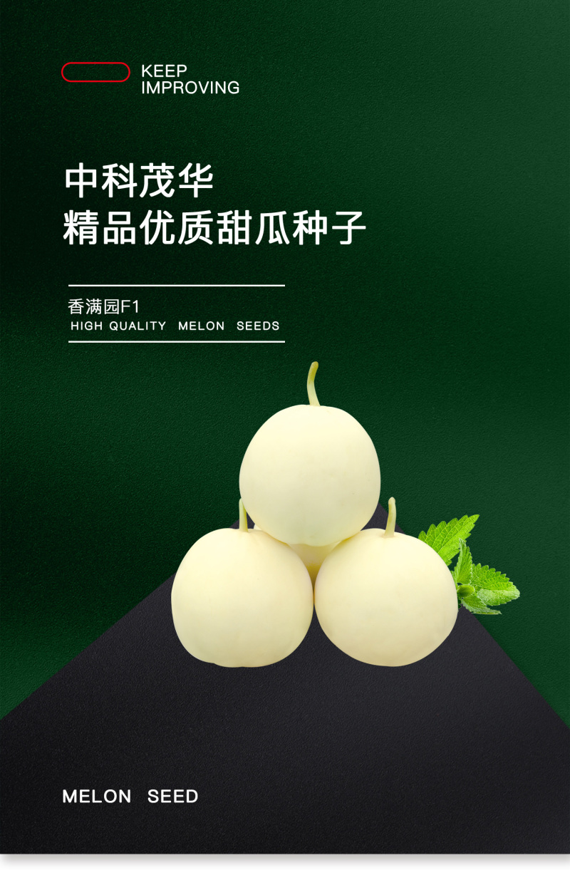 中科茂华瓜果种子杂交一代香满园白皮带黄润甜瓜种子