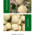 中科茂华瓜果种子杂交一代香满园白皮带黄润甜瓜种子