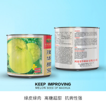 中科茂华水果种子茂华新甜宝甜瓜种子黄绿皮高糖香瓜種
