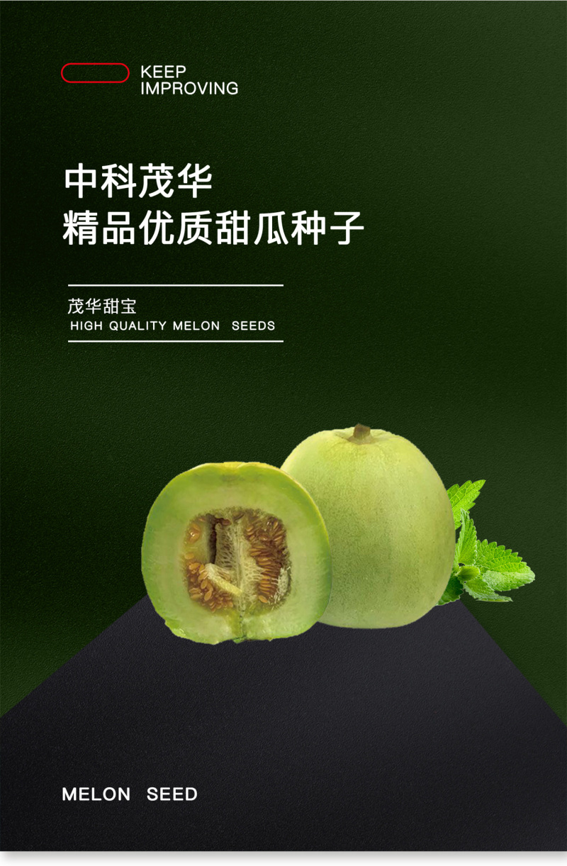 中科茂华水果种子茂华新甜宝甜瓜种子黄绿皮高糖香瓜種